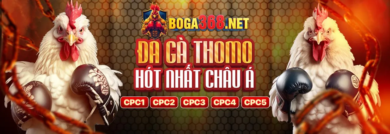 Hình ảnh chính blog Vipwin